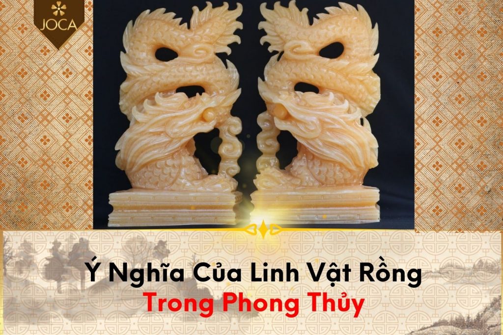 Y-Nghia-Rong