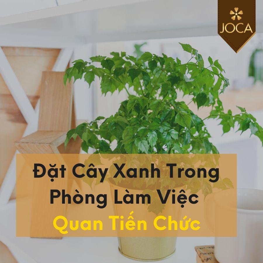 Cay-Xanh