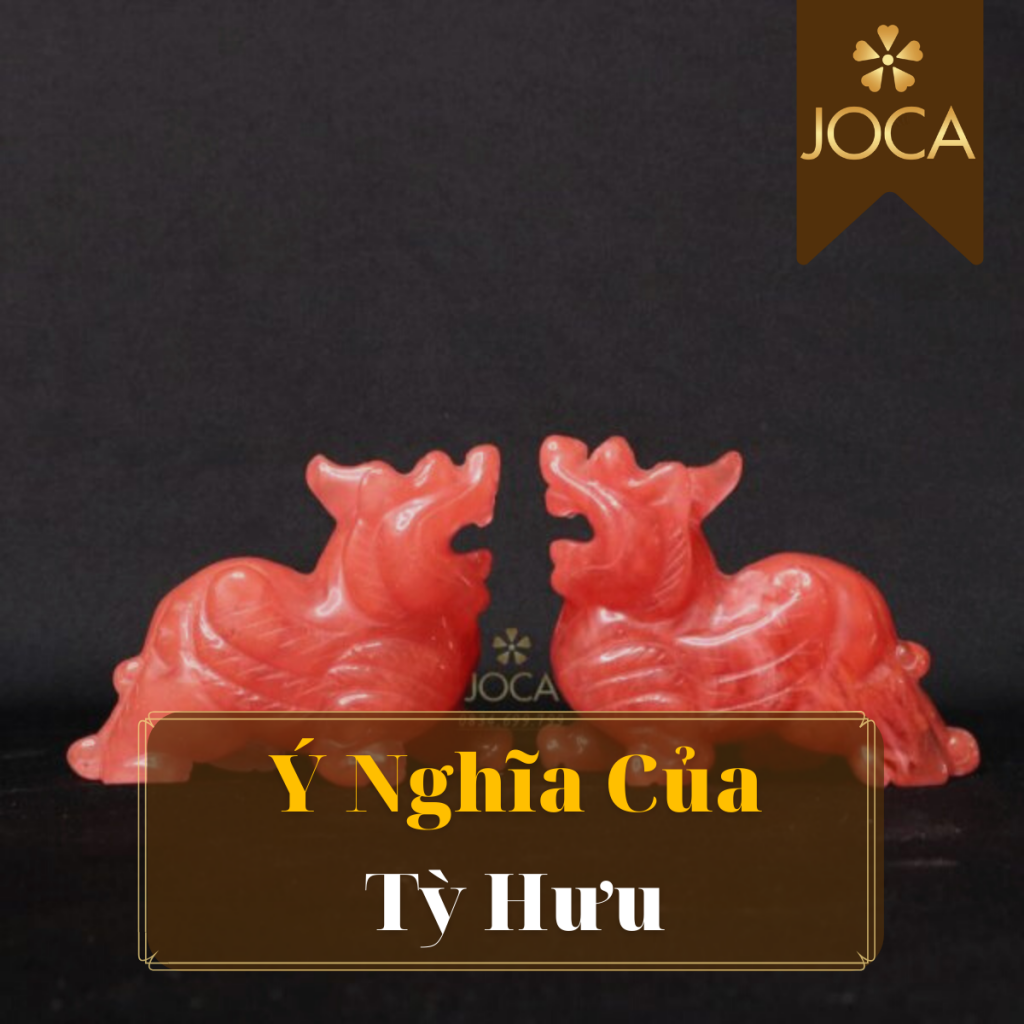 Y-Nghia-Ty-Huu