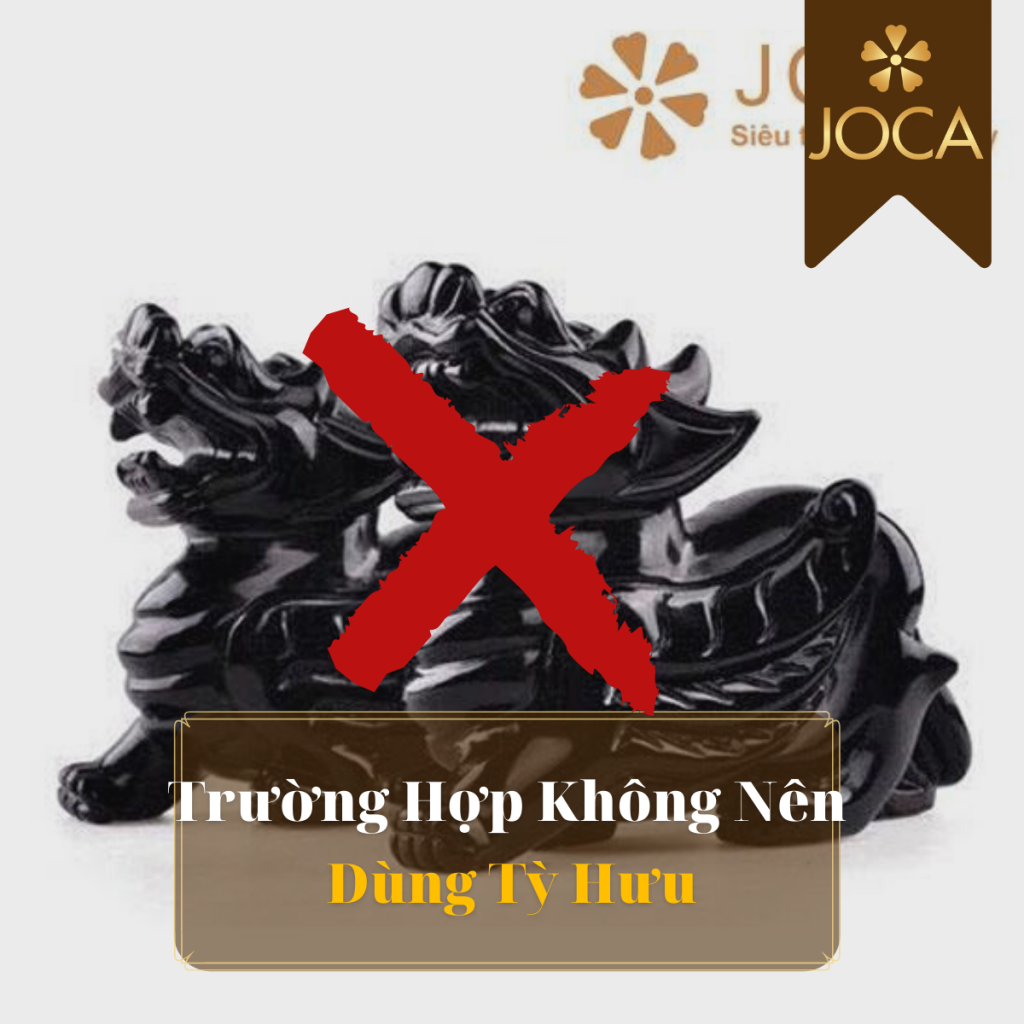 Luu-Y-Dung-Ty-Huu