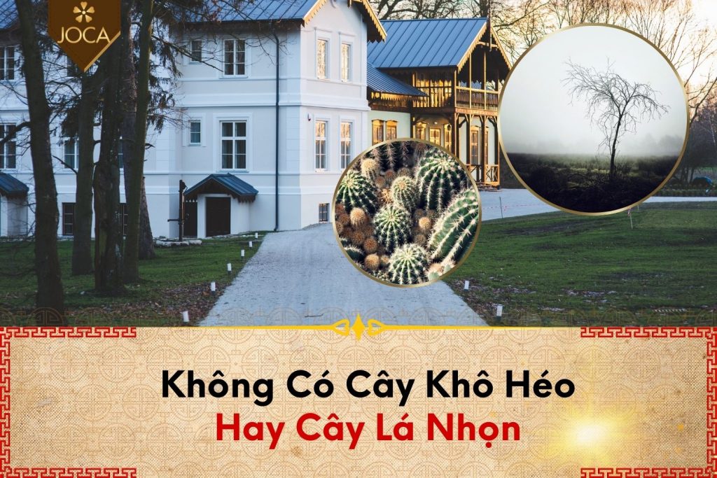 La-Cay-Kho-Heo