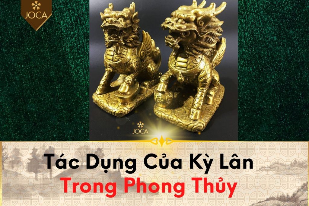 Tac-Dung-Ky-Lan