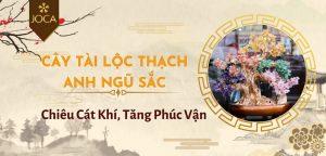 cay-thach-anh-ngu-sac